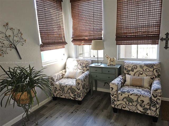 living area with dark hardwood / wood-style floors