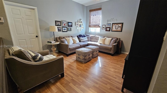 living room featuring wood-type flooring