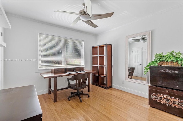 office with baseboards, ceiling fan, light wood finished floors, and crown molding