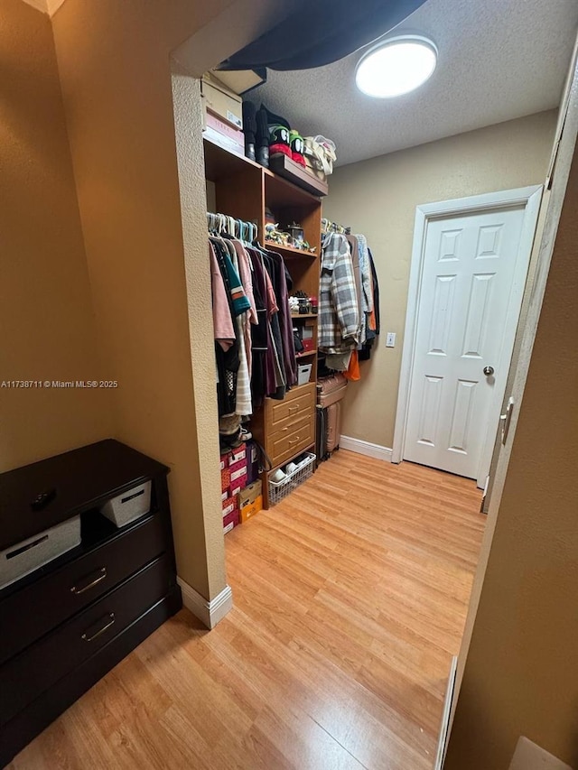 spacious closet featuring light hardwood / wood-style floors