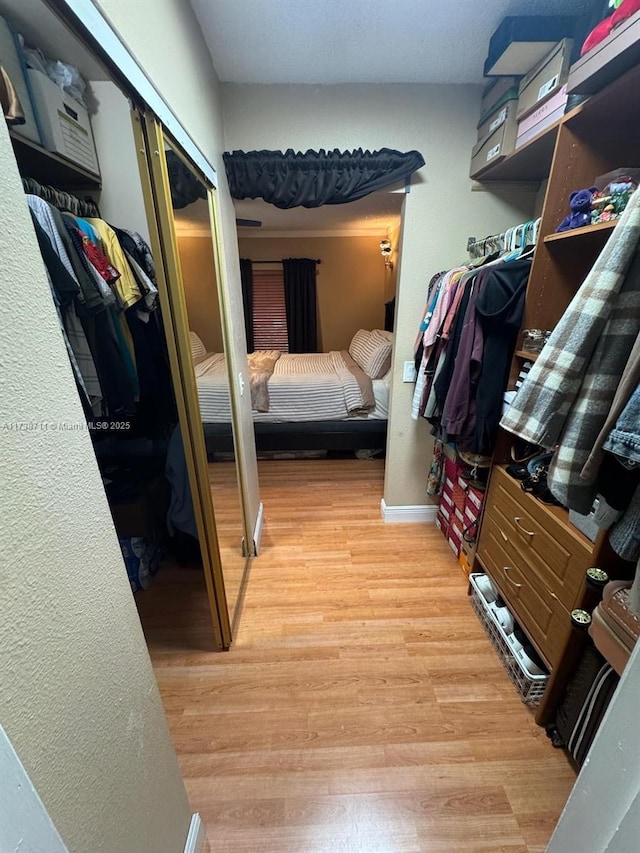 spacious closet with light hardwood / wood-style floors