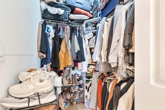 view of spacious closet