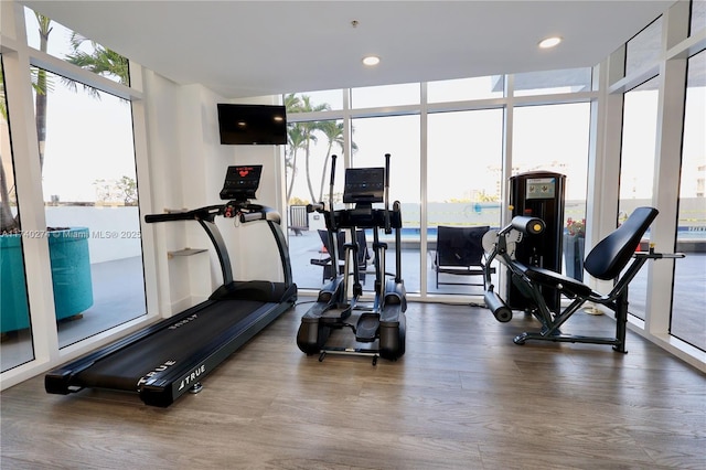 exercise room with expansive windows, a healthy amount of sunlight, and hardwood / wood-style floors