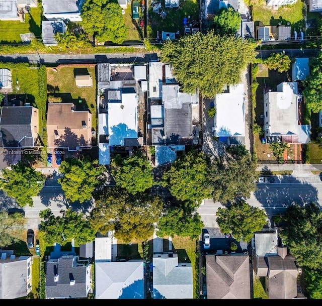 bird's eye view