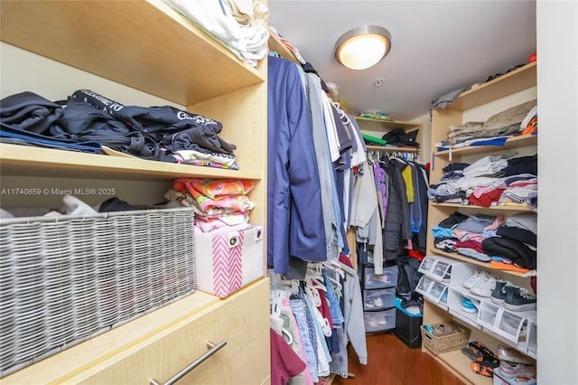 spacious closet featuring dark hardwood / wood-style flooring