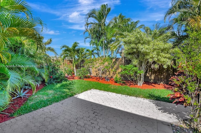 view of yard featuring a patio