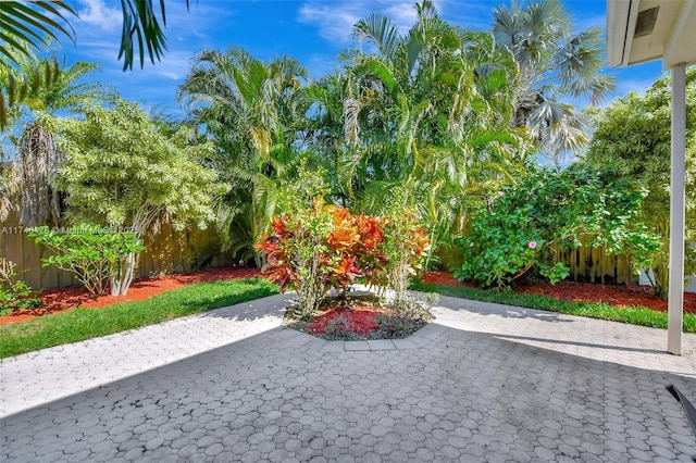 view of yard featuring a patio