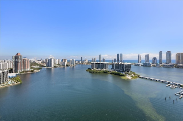 view of water feature with a city view