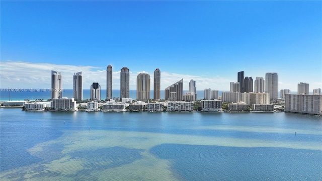 view of water feature featuring a city view