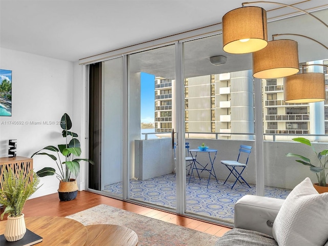 entryway featuring hardwood / wood-style flooring, expansive windows, and a healthy amount of sunlight