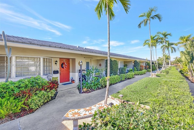 ranch-style home featuring a front lawn