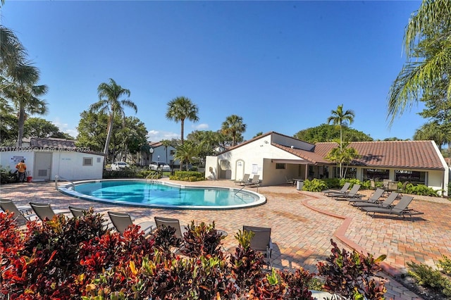 view of pool with a patio area