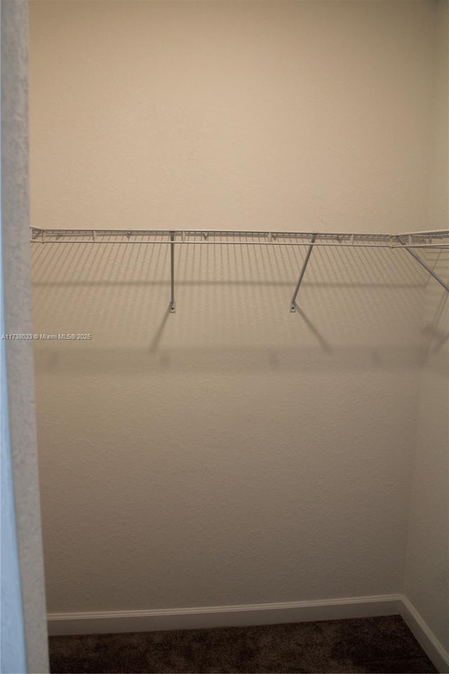 walk in closet featuring carpet floors