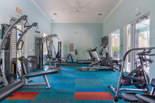 exercise room featuring ceiling fan and ornamental molding