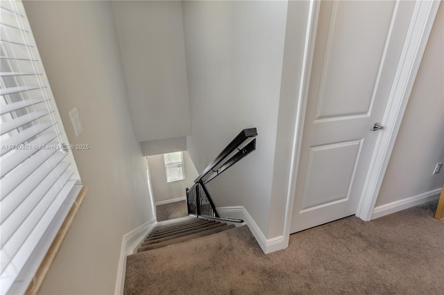 staircase with carpet flooring