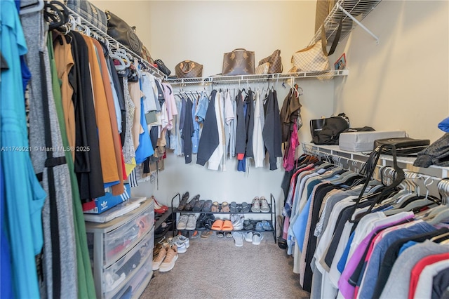 spacious closet with carpet flooring