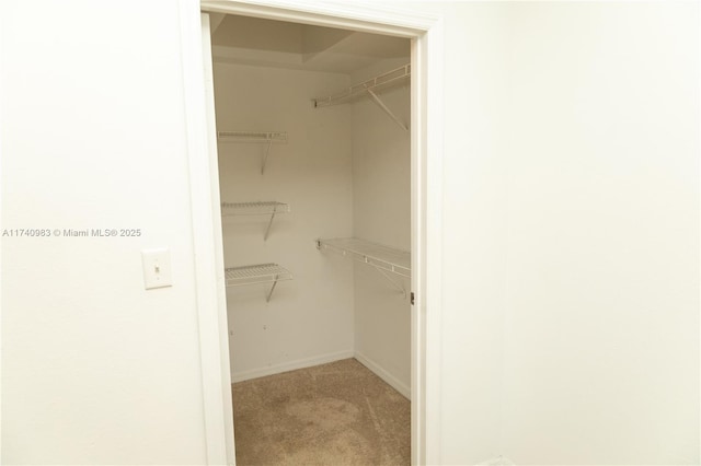 walk in closet with light colored carpet