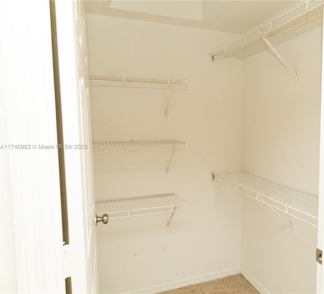 view of walk in closet