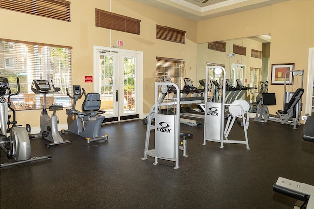 workout area with crown molding, french doors, and a high ceiling