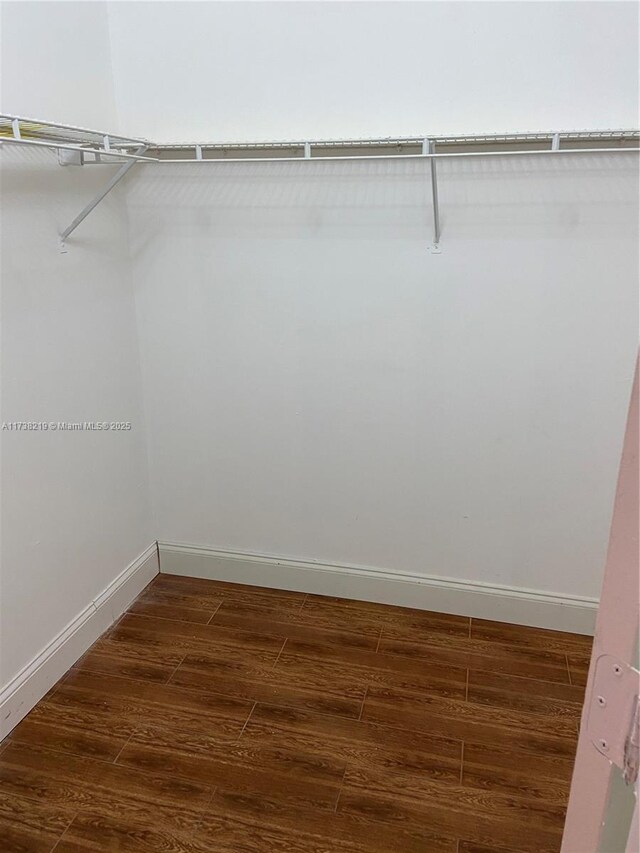 walk in closet featuring dark hardwood / wood-style floors