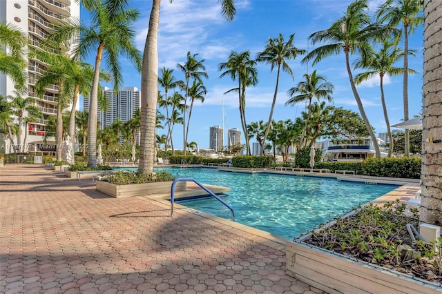 view of swimming pool with a patio area