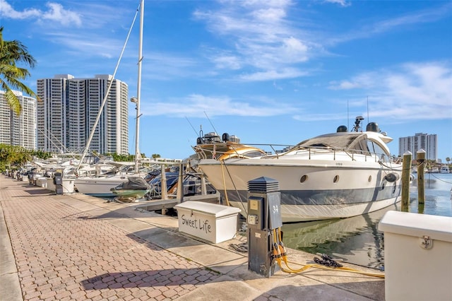 dock area featuring a water view