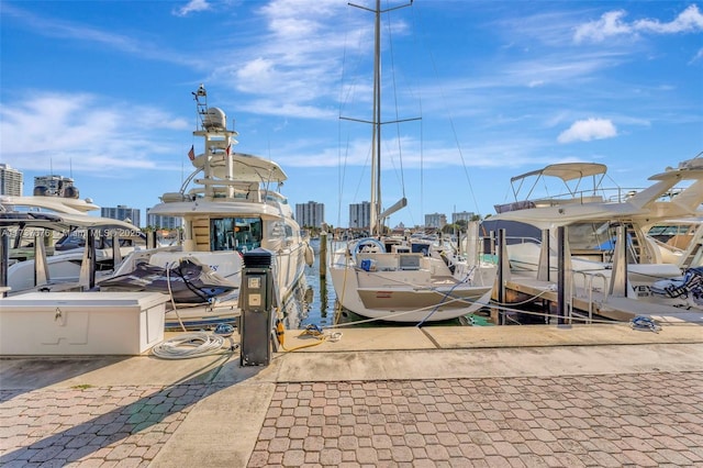 view of dock area