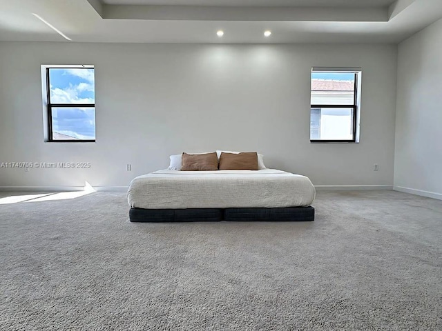 carpeted bedroom with a raised ceiling