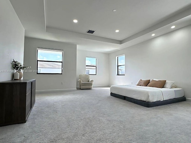 bedroom featuring multiple windows, light carpet, and a tray ceiling