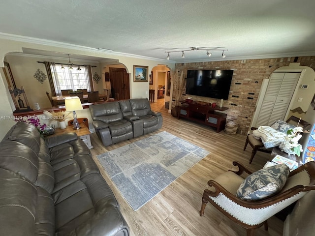 living room featuring hardwood / wood-style floors, crown molding, and a textured ceiling