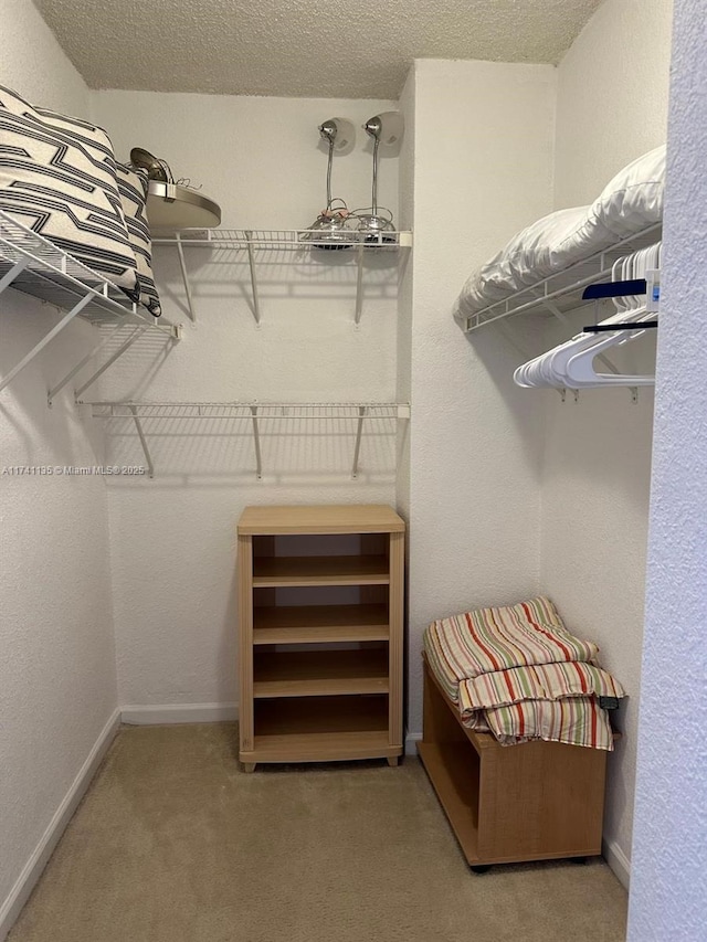 spacious closet featuring carpet