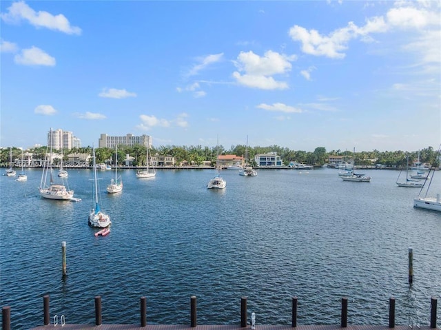 property view of water featuring a boat dock