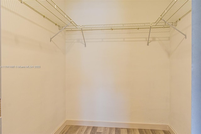 spacious closet featuring wood-type flooring