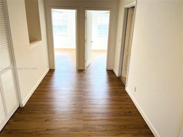 corridor featuring dark wood-type flooring and a wealth of natural light