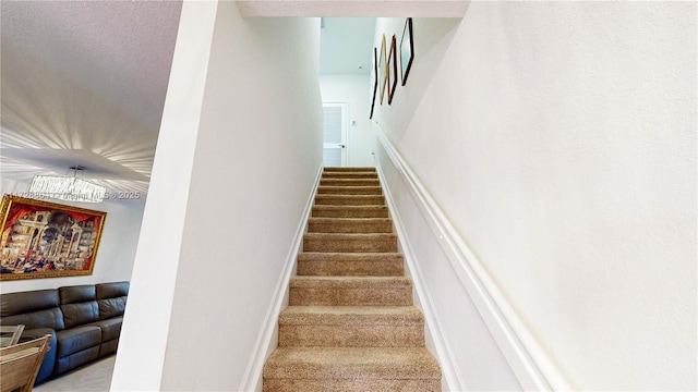 stairs with carpet floors