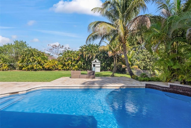 11965 SW 15th Ct, Davie, FL 33325 - outdoor pool with a patio and a yard
