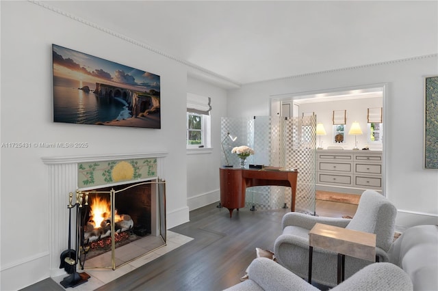 sitting room featuring dark wood-type flooring