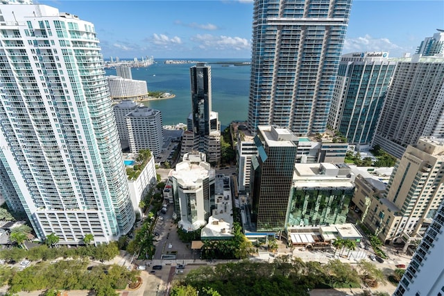 property's view of city with a water view