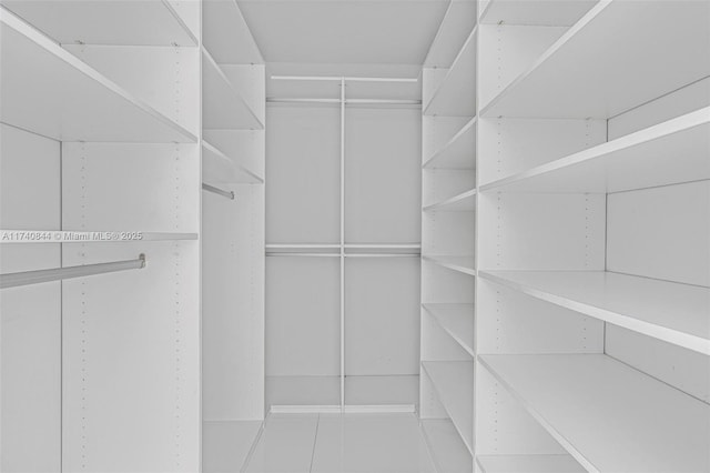 view of walk in closet