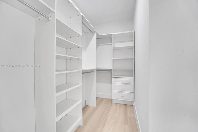 spacious closet featuring light hardwood / wood-style flooring