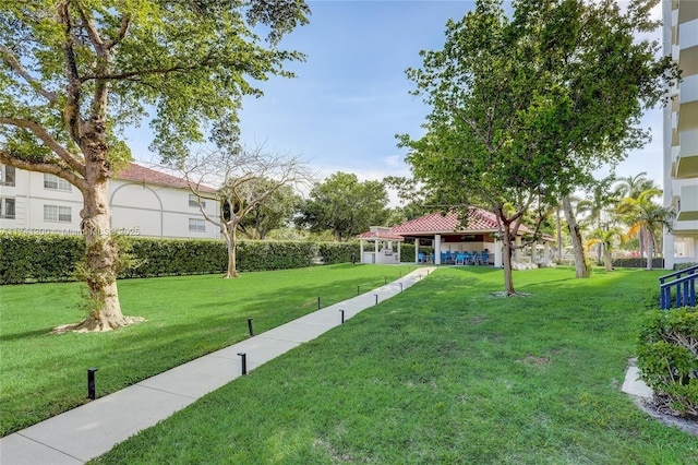 view of community with a yard