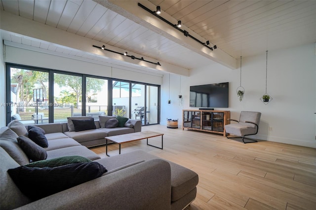 living room featuring wood ceiling, track lighting, light hardwood / wood-style floors, and a healthy amount of sunlight