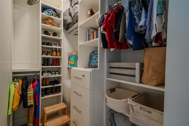 view of spacious closet