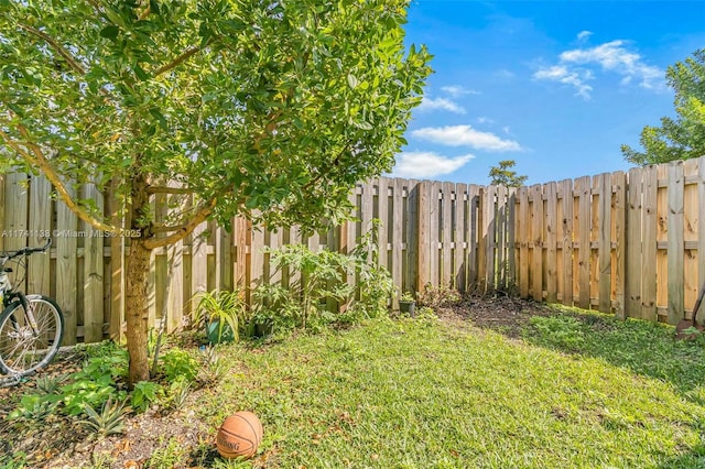 view of yard with a fenced backyard