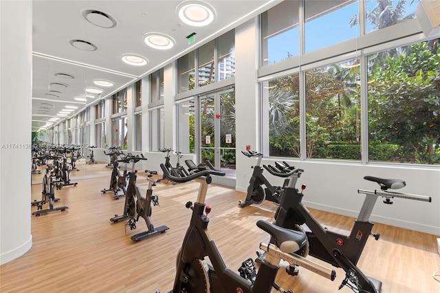 workout area with wood finished floors, a towering ceiling, and baseboards