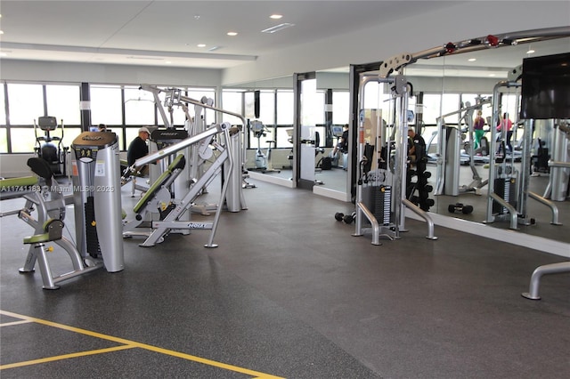 exercise room with plenty of natural light