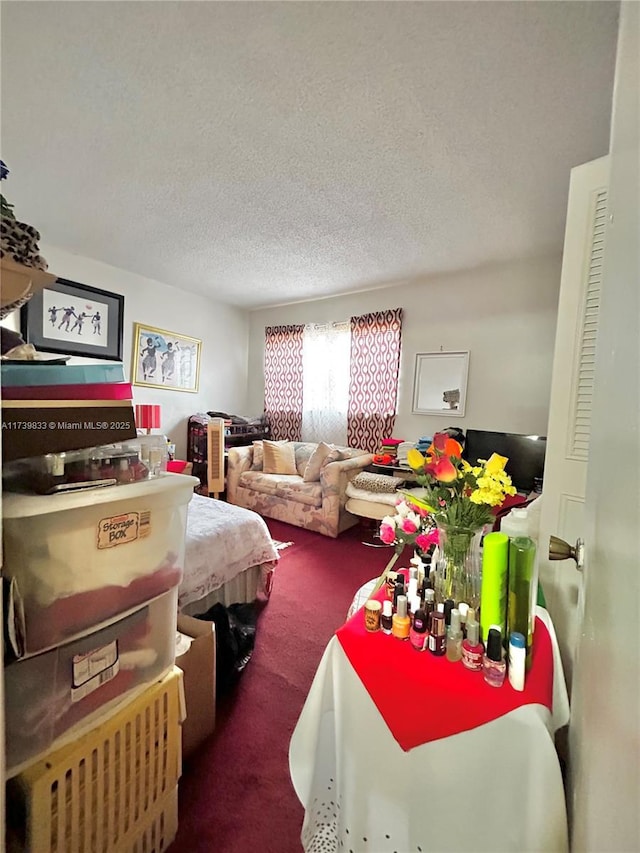 interior space with carpet and a textured ceiling