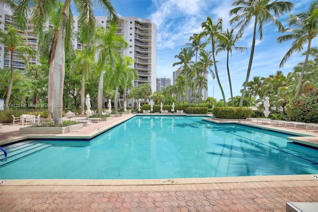 view of swimming pool