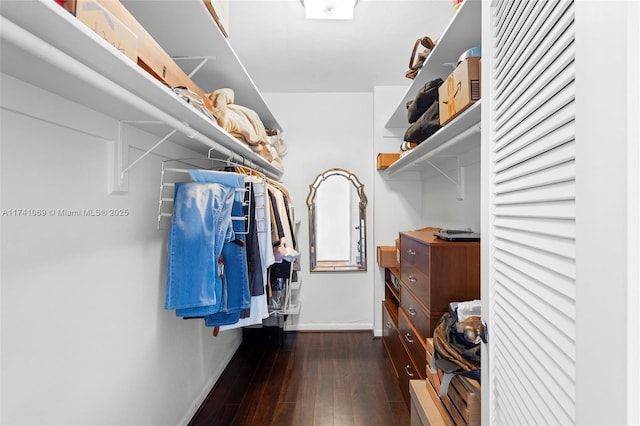 walk in closet with dark wood-type flooring