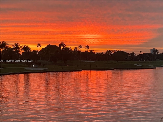 property view of water